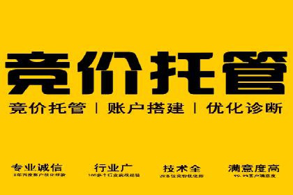 sem代运营公司成功案例：从零到一的营销策略构建